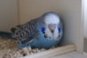 DSC09946.JPG