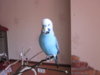 IMG_8153.JPG
