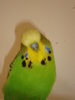 DSC05663.JPG