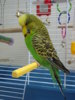 DSC05449.JPG