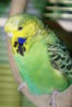 DSC00252.JPG
