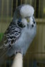 DSC00408.JPG