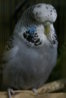 DSC00409.JPG
