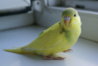 DSC00474.JPG