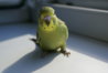 DSC00491.JPG