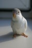 DSC00503.JPG