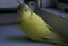 DSC00522.JPG