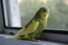 DSC00532.JPG