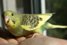 DSC00545.JPG