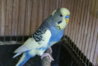 DSC00600.JPG