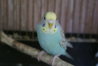 DSC00603.JPG