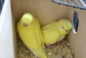 DSC00626.JPG