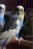 DSC00674.JPG