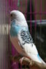 DSC00678.JPG