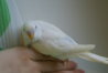 DSC00748.JPG