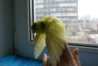 DSC00016.JPG