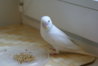 DSC01363.JPG