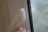 DSC01395.JPG
