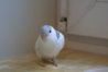 DSC01406.JPG