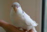 DSC01425.JPG