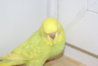 DSC01574.JPG