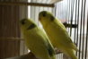 DSC00066.JPG