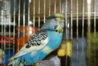 DSC00125.JPG