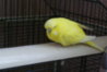 DSC02411.JPG