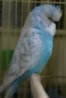 DSC00414.JPG