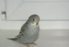 DSC03077.JPG