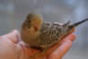 DSC03085.JPG