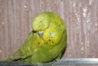 DSC03727.JPG