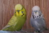 DSC03533.JPG