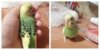 PicsArt_12-23-12.36.39.jpg