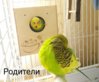 PicsArt_12-23-12.35.23.jpg