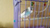 20151223_123056.jpg
