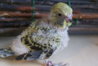 DSC00015.JPG