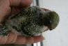 DSC00040.JPG