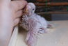 DSC00107.JPG