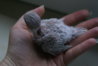 DSC00149.JPG