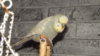 DSCF0675.JPG