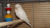 DSCF0681.JPG