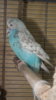 DSCF0686.JPG