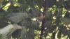 DSCF0782.JPG
