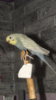 DSCF0839.JPG