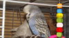 DSCF0844.JPG
