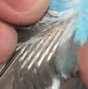 BB2636C6-98E2-40A2-9C72-3DDAB2CE97F4.jpeg