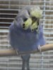 IMG_1026.JPG