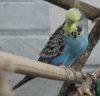IMG_0982.JPG