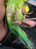 IMG_20180825_200503.jpg